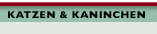 Katzen und Kaninchen