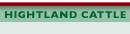 Hightland Cattle