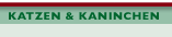 Katzen und Kaninchen